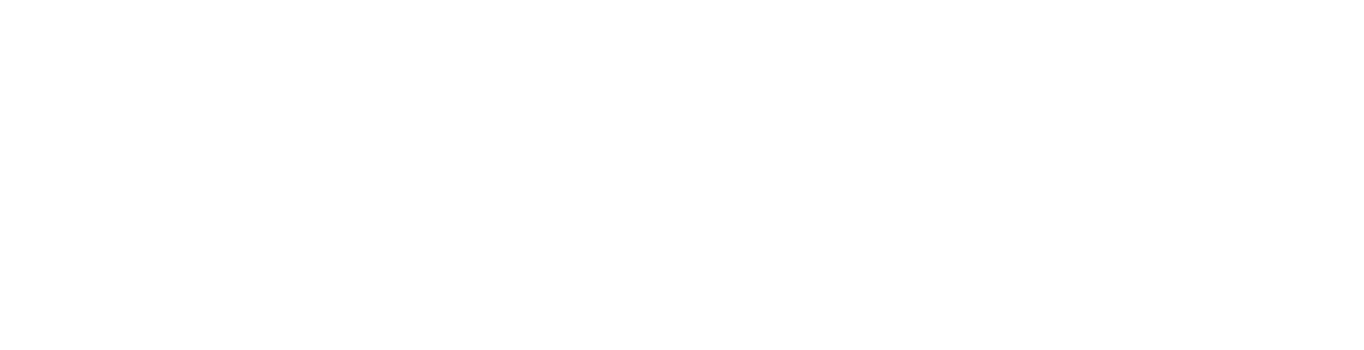 UNDERSEA FESTIVAL